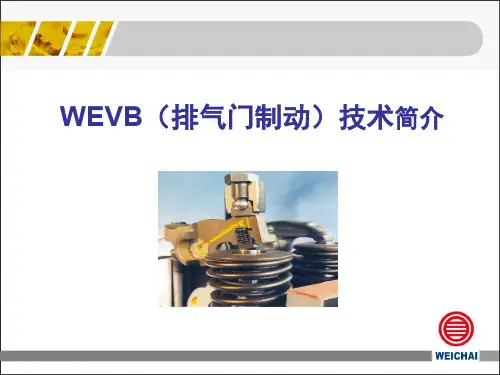潍柴EVB技术介绍[1]