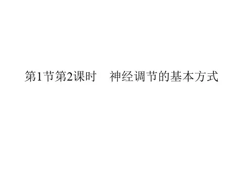 苏科版八上16.1《人体的神经调节-神经调节的基本方式》 课件(共31张PPT)