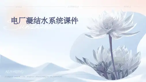 电厂凝结水系统.课件