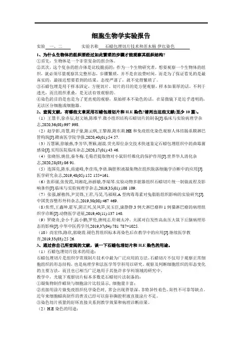 细胞生物学实验报告