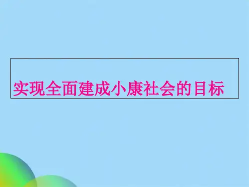 实现全面建成小康社会的目标(共20张PPT)