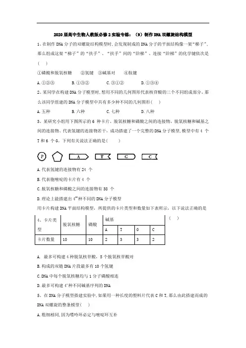 2020届高中生物人教版必修2实验专练：(9)制作DNA双螺旋结构模型 Word版含答案