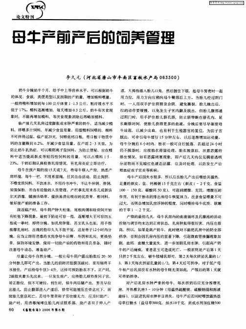 母牛产前产后的饲养管理