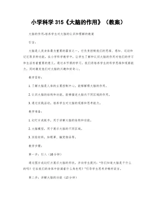 小学科学315《大脑的作用》(教案)