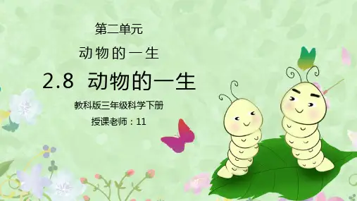 教科版三年级科学下册第二单元《动物的一生-动物的一生》PPT课件