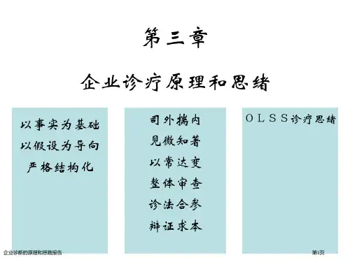 企业诊断的原理和思路报告