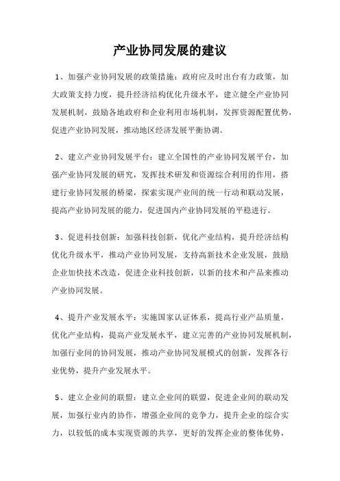 产业协同发展的建议