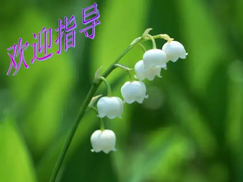中考语文专题复习：综合性学习之解读漫画题语文课件PPT