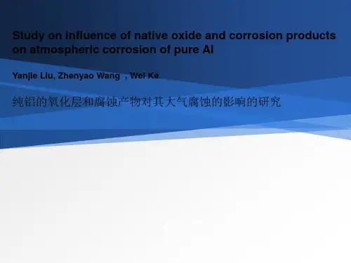 腐蚀与防护论文讲解