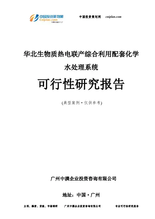 华北生物质热电联产综合利用配套化学水处理系统可行性研究报告-广州中撰咨询