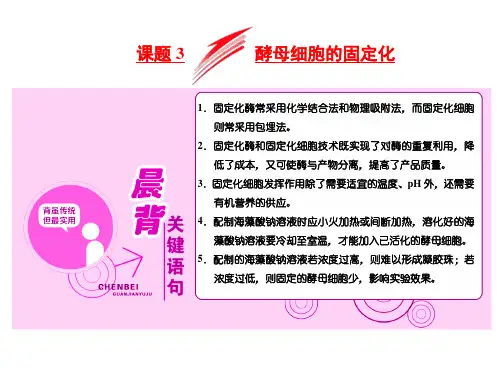 专题四课题酵母细胞的固定化PPT教学课件