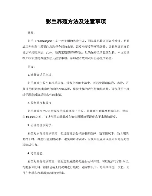 彩兰养殖方法及注意事项