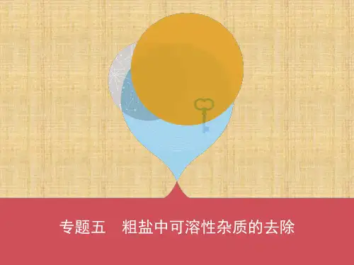 河南中考化学专题五 粗盐中可溶性杂质的去除  (可自主编辑PPT)