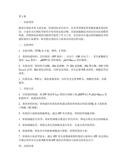 小鼠转基因实验报告(3篇)