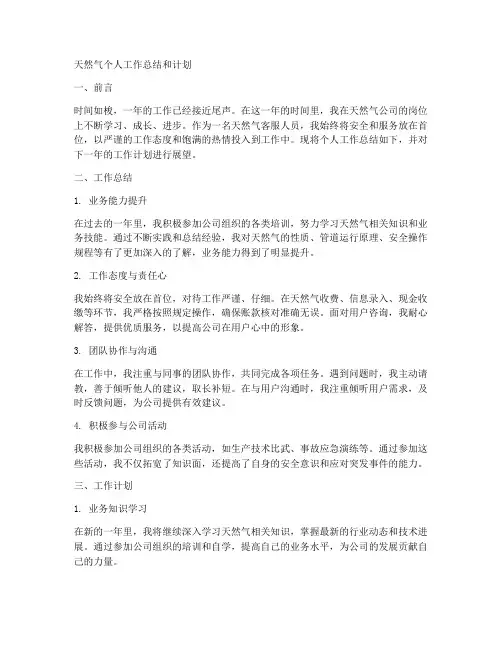 天然气个人工作总结和计划