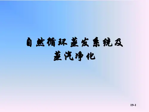自然循环蒸发系统及蒸汽净化