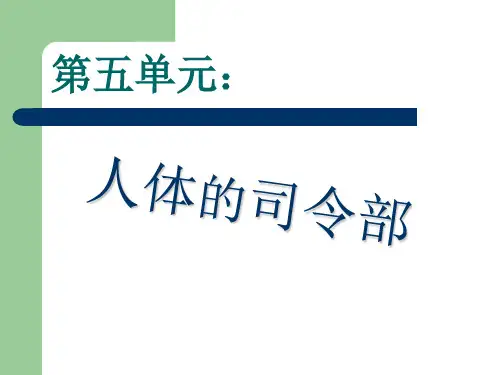小学科学苏教版《大脑》PPT教学课件2