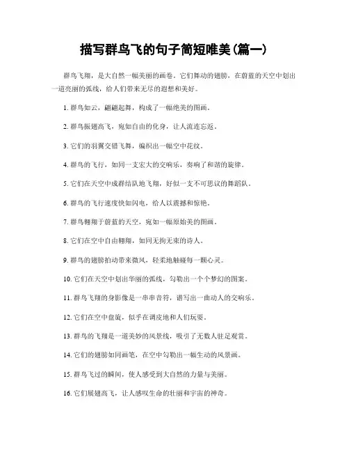 描写群鸟飞的句子简短唯美(精选2篇)