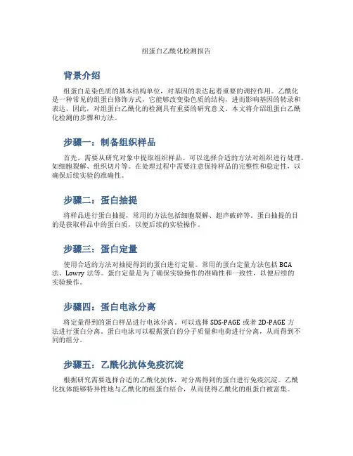 组蛋白乙酰化检测报告
