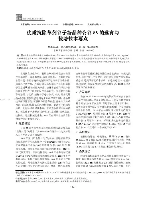 优质抗除草剂谷子新品种公谷85 的选育与栽培技术要点