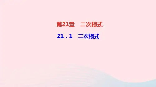 数学九年级上册21.1二次根式作业课件 华东师大版