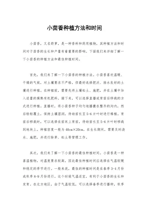 小茴香种植方法和时间