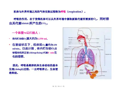 医学专题第五章呼吸