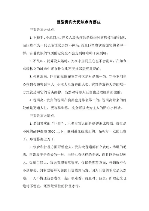 巨型贵宾犬优缺点有哪些