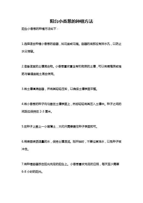 阳台小香葱的种植方法