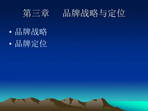 品牌战略和定位