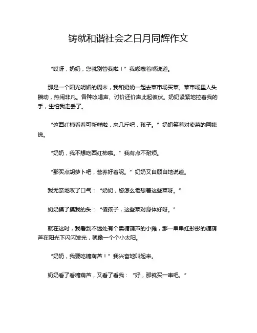 铸就和谐社会之日月同辉作文