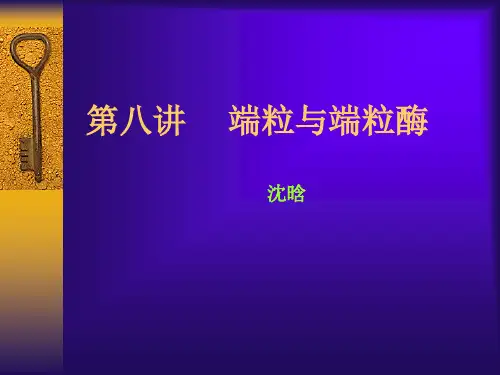 第八讲 端粒和端粒酶