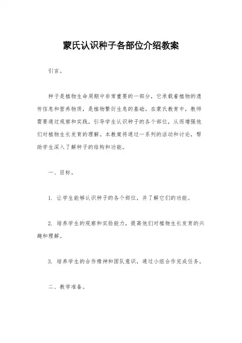 蒙氏认识种子各部位介绍教案