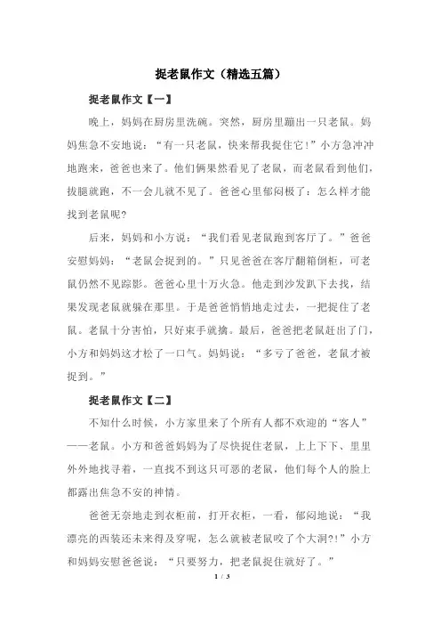 捉老鼠作文(精选五篇)