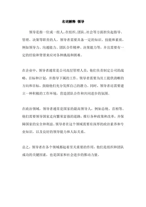 名词解释 领导