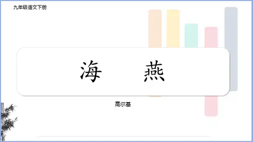 第4课《海燕》课件(共30张PPT)2023-2024年统编版九年级语文下册