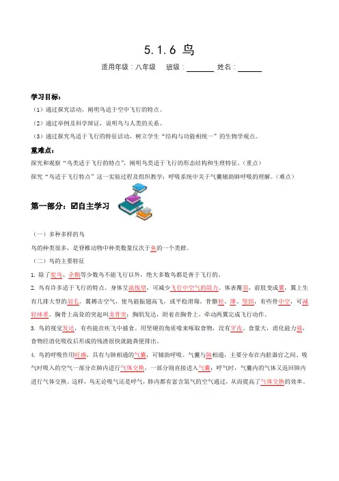 5-1-6 鸟(导学案)-八年级上册生物(解析版)