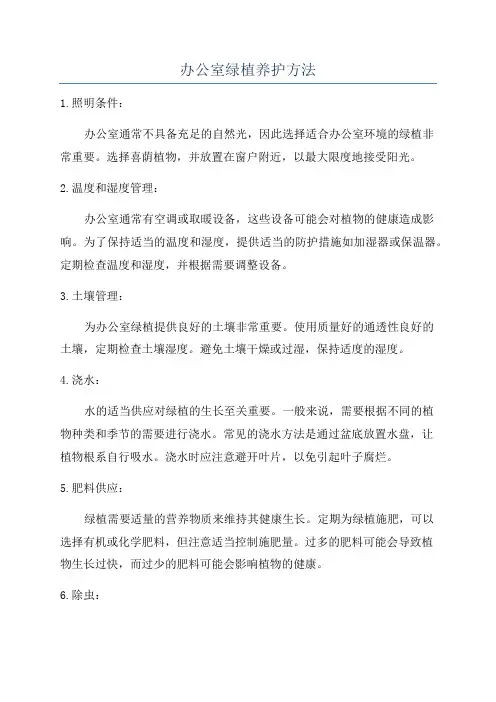 办公室绿植养护方法