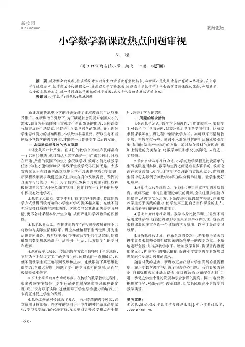 小学数学新课改热点问题审视