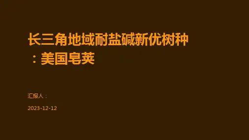 长三角地域耐盐碱新优树种：美国皂荚