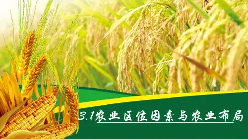 农业区位因素(第1课时)(课件)高一地理(湘教版2019必修第二册)