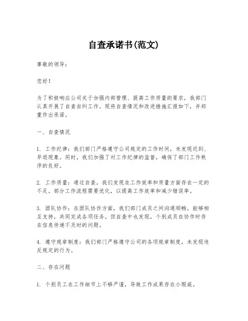 自查承诺书(范文)