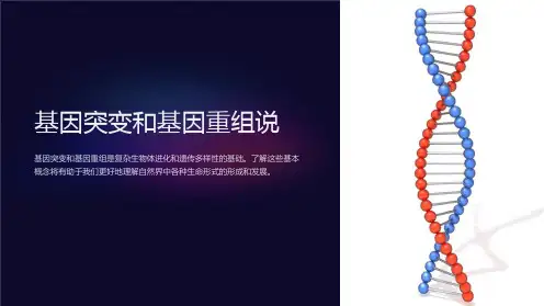 基因突变和基因重组说