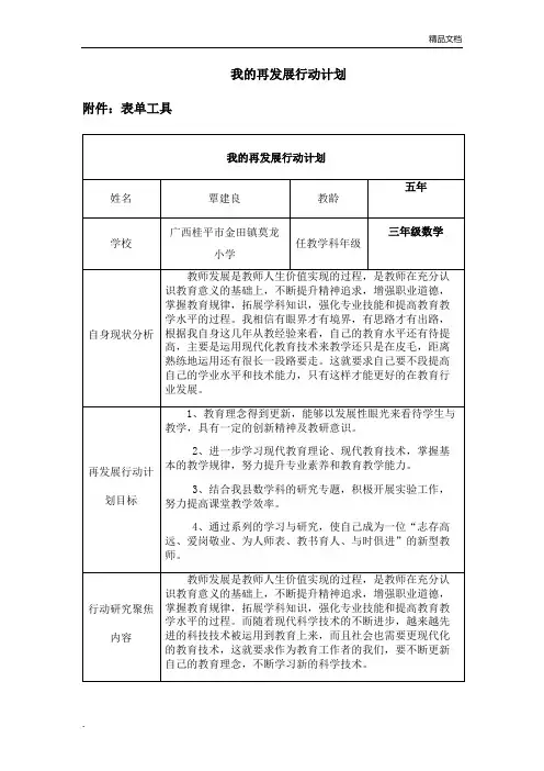 我的再发展行动计划3