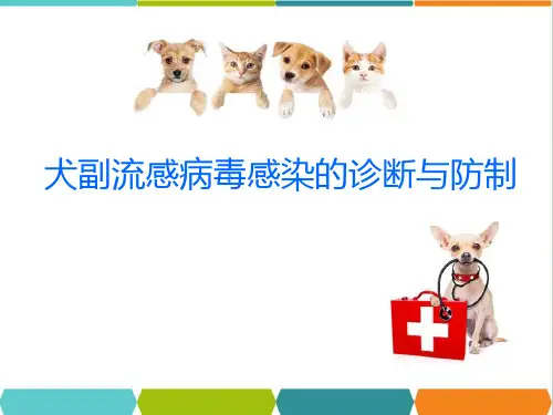 犬副流感病毒感染的诊断与防治