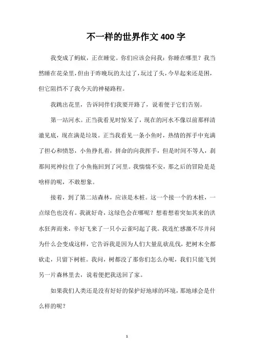 不一样的世界作文400字