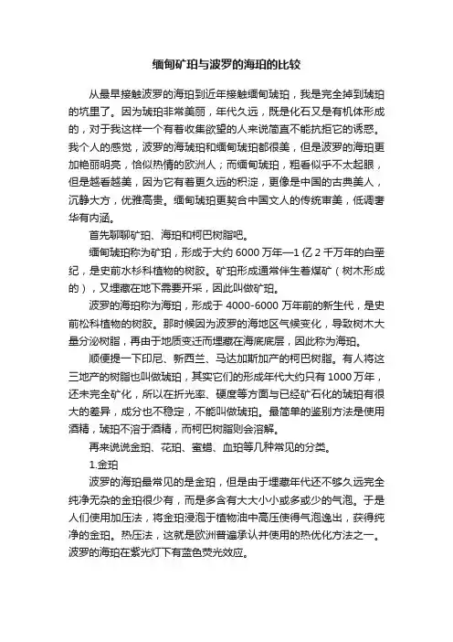 缅甸矿珀与波罗的海珀的比较