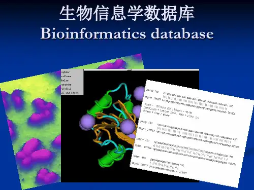 生物分子数据库