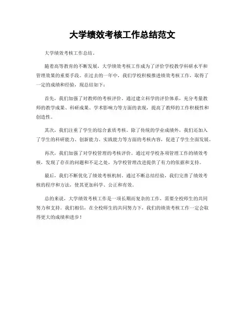 大学绩效考核工作总结范文