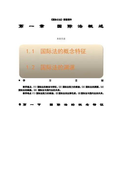 国际法绪论